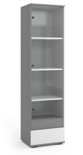 Witryna Do Salonu Szklana 50x186x40